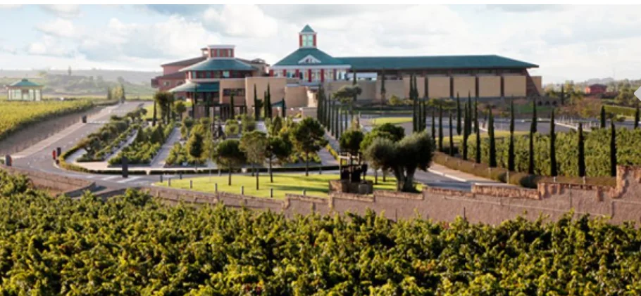 Bodegas Vivanco